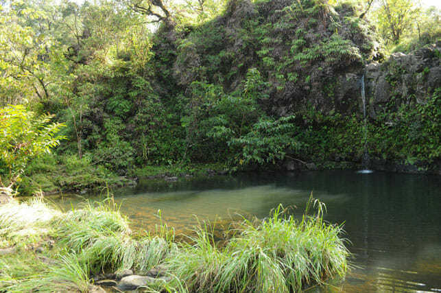 Waikamoi Falls on the Road to Hana