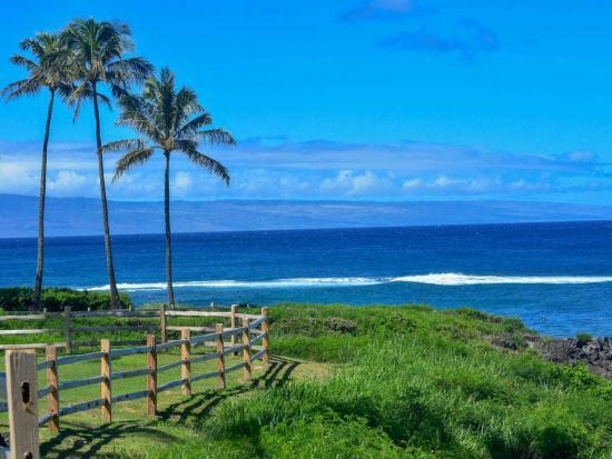 Maui Travel Tips