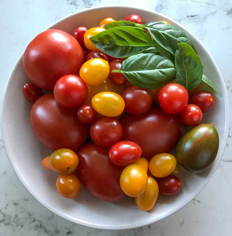 Caprese Salad Recipe