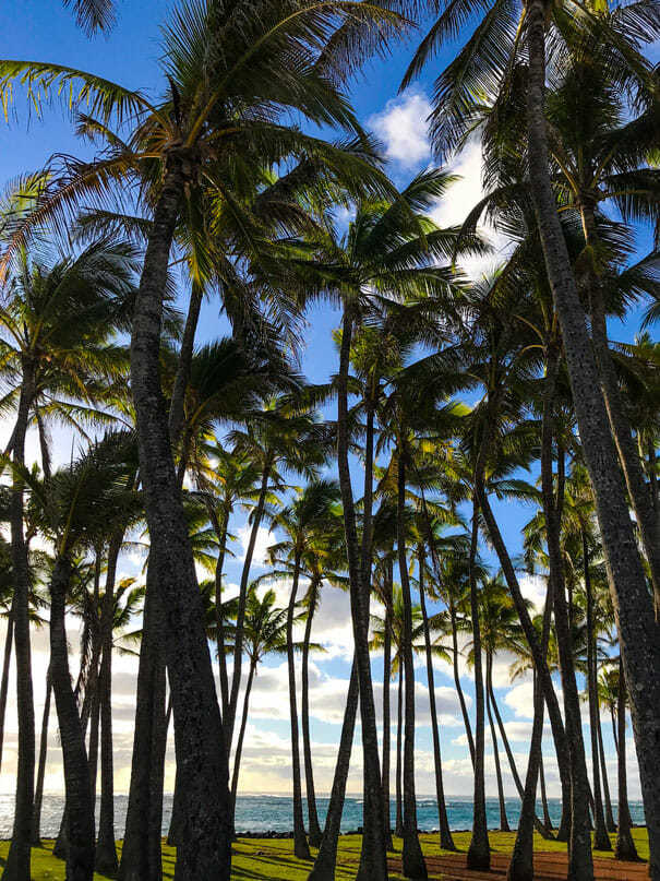 Kapaa Views on Two Wheels 1