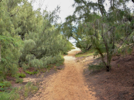 Maha'ulepu Heritage Trail