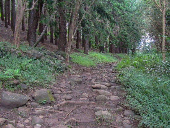 Waihee Ridge Trail