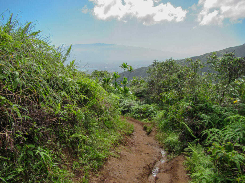 Waihee Ridge Trail 1