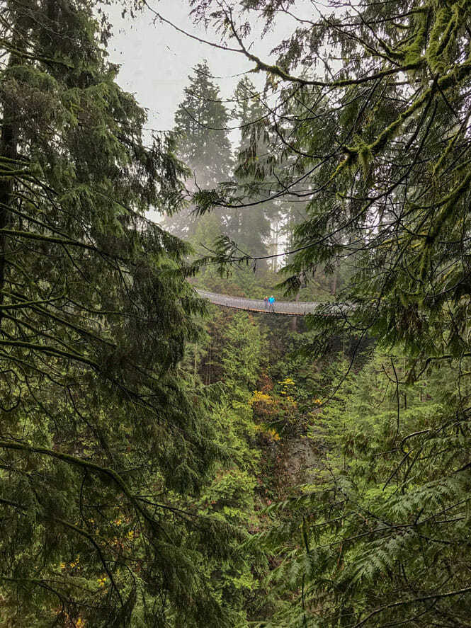 Capilano Suspension Bridge Park 1