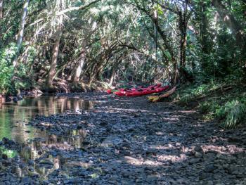 wailua kayaks