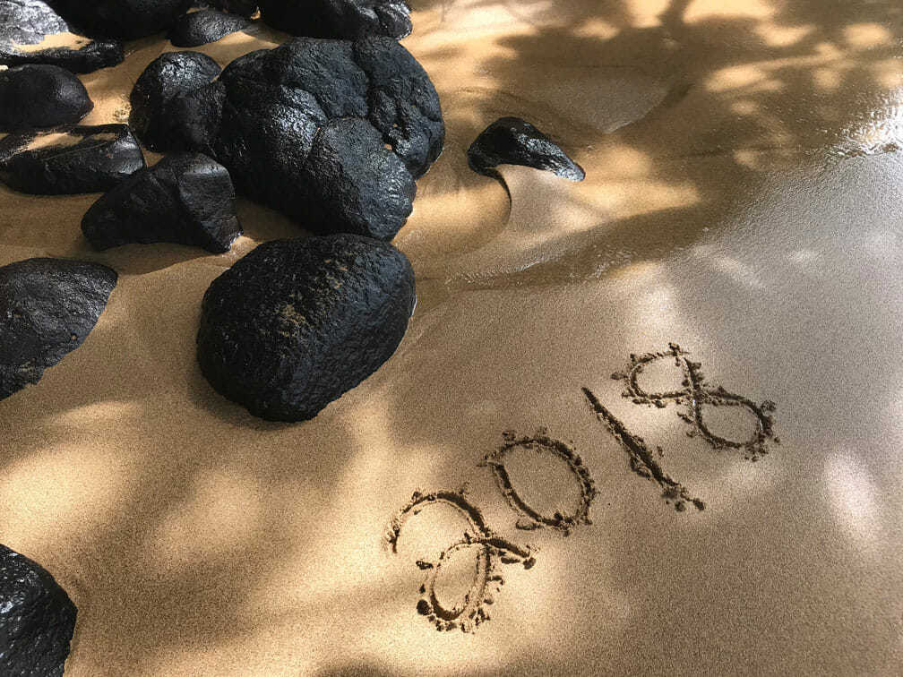 2018 - Year in Review