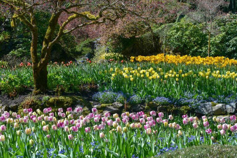 Butchart Gardens