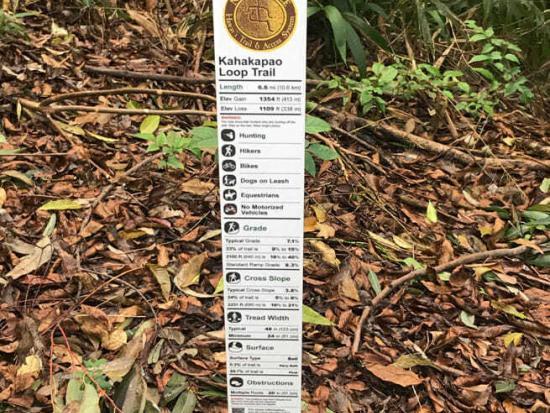 Kahakapao Loop Trail Info