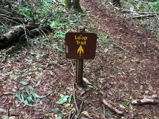 Kahakapao Loop Trail
