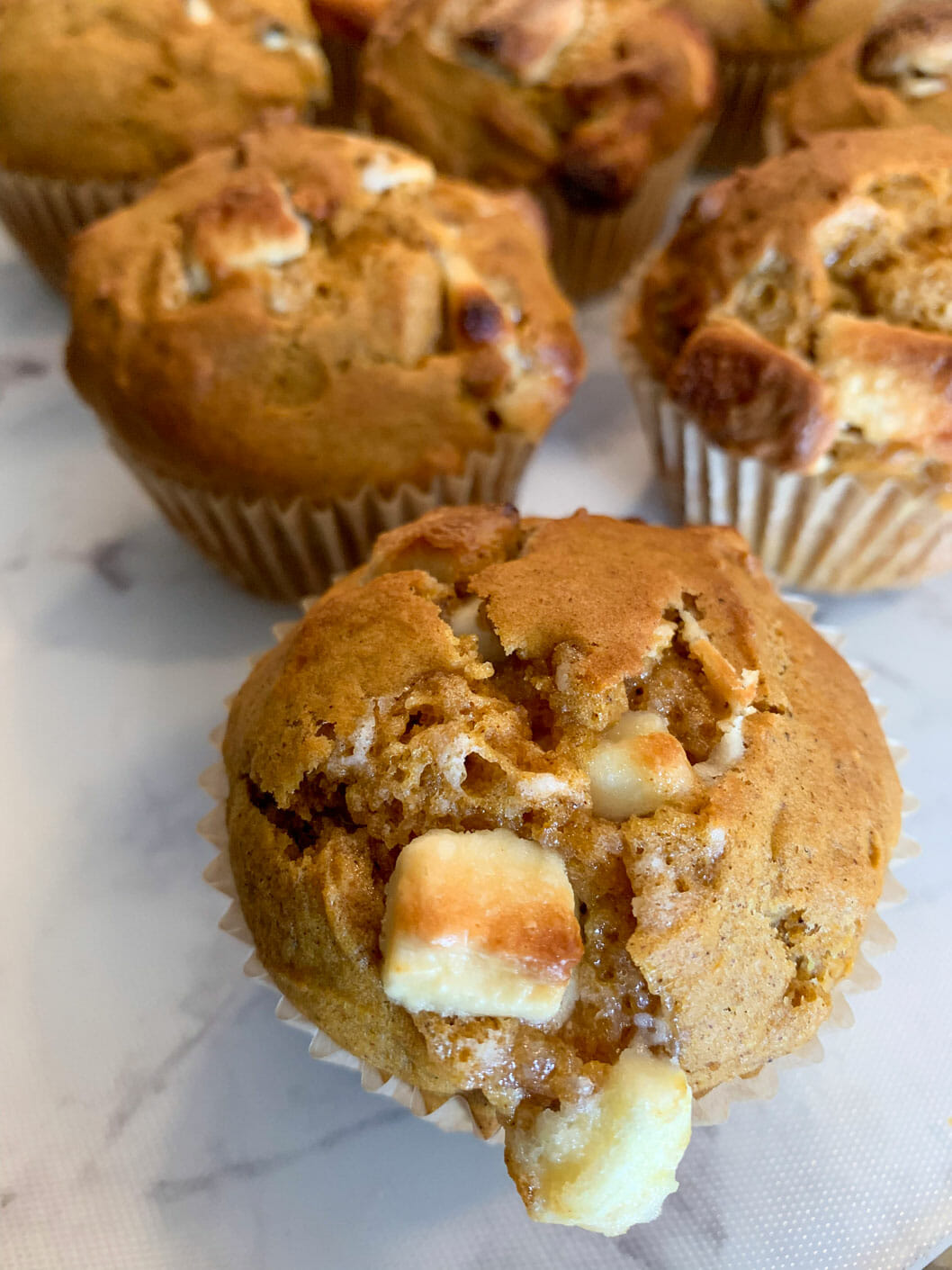 Pumpkin Muffin
