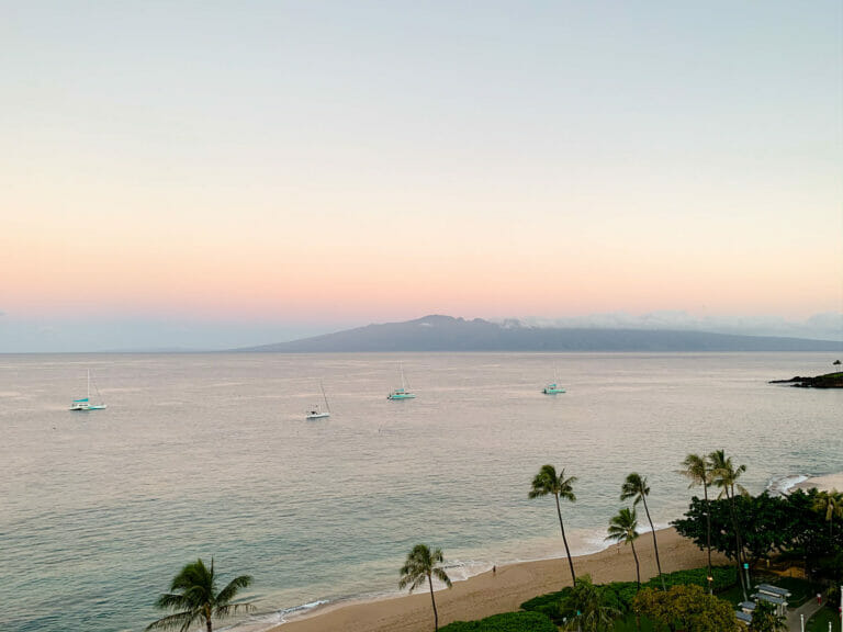 Maui During a Pandemic 1