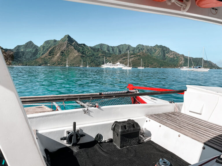 Voila Moorea Snorkel Tour 2